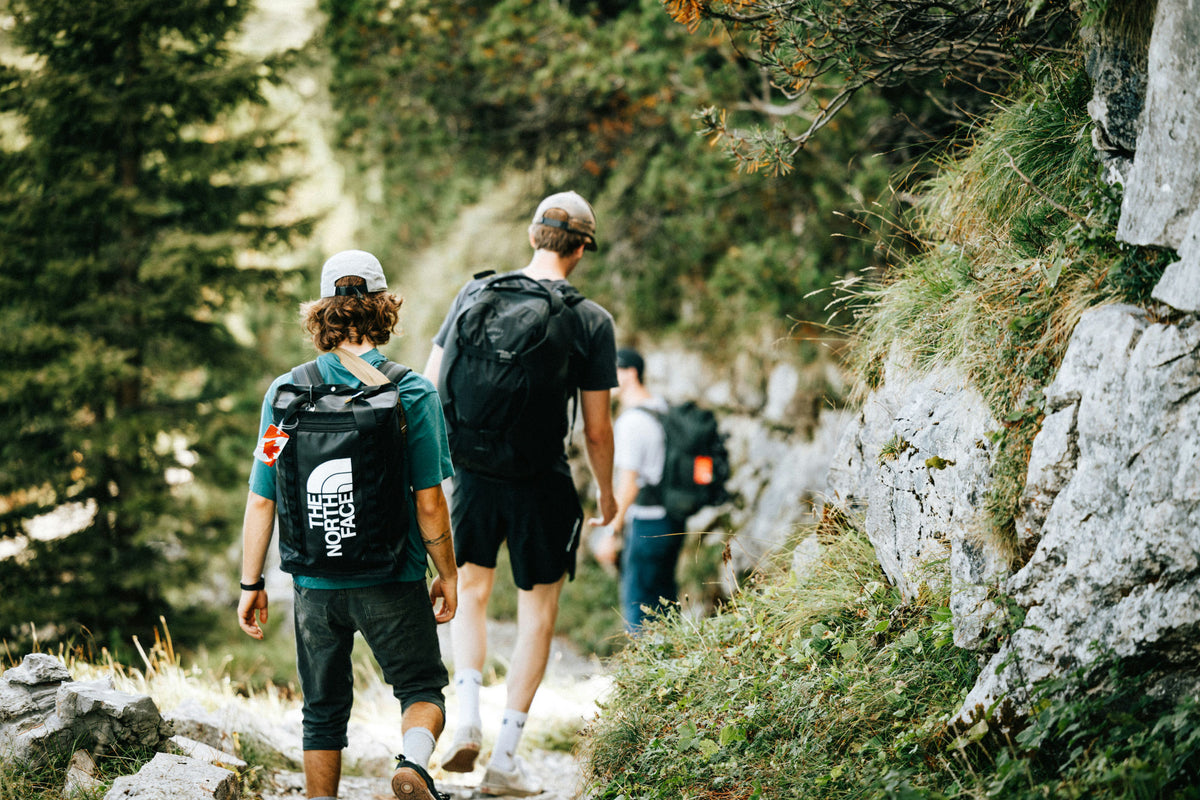Three hikers seen from behind on a rocky forest trail, wearing black The North Face backpacks. The scene is set in a lush green mountain environment with pine trees and a grassy, rocky slope on the right.